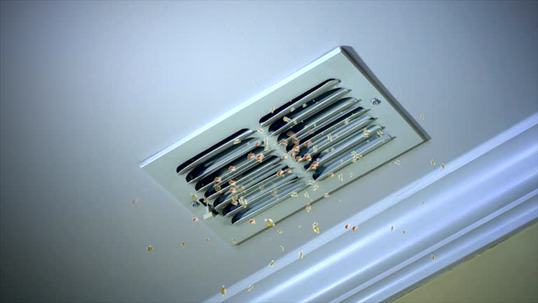 Best Commercial Air Duct Cleaning  in Manchaca, TX