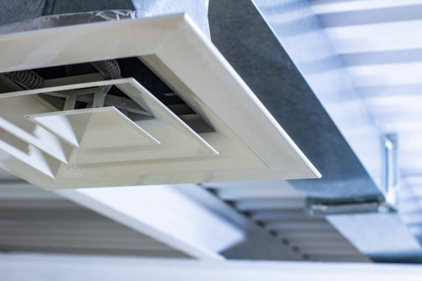 Best Air Duct Sanitizing Services  in Manchaca, TX